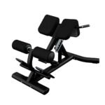 Life Fitness Back Extension