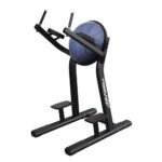 Life Fitness Leg Raise