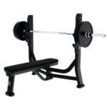 Life Fitness Olympic Flat Bench